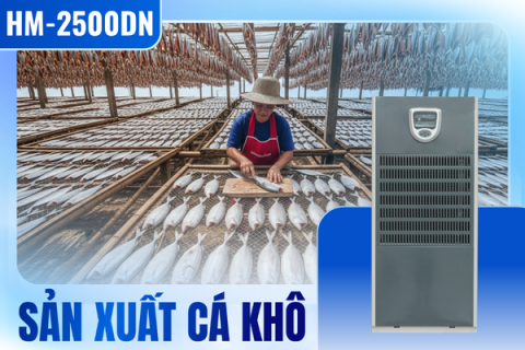 Xử lý ẩm chuyên sâu bằng máy hút ẩm công nghiệp cho cơ sở sản xuất cá khô Xử lý ẩm chuyên sâu bằng máy hút ẩm công nghiệp cho cơ sở sản xuất cá khô