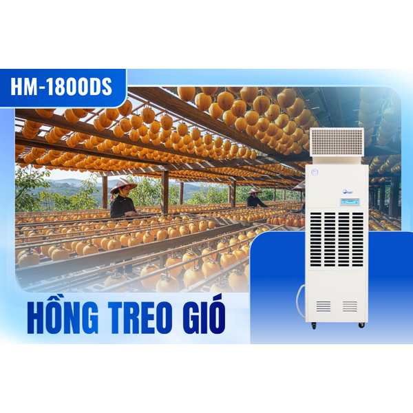 Giải pháp xử lý ẩm chuyên nghiệp cho xưởng hồng treo gió tại Đà Lạt