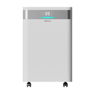 Máy hút ẩm dân dụng Fujihome DH20NW