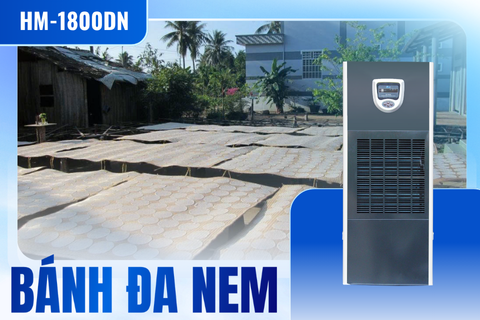 Lắp máy hút ẩm công nghiệp FujiE HM-1800DN cho hộ sản xuất bánh đa nem Lắp máy hút ẩm công nghiệp FujiE HM-1800DN cho hộ sản xuất bánh đa nem