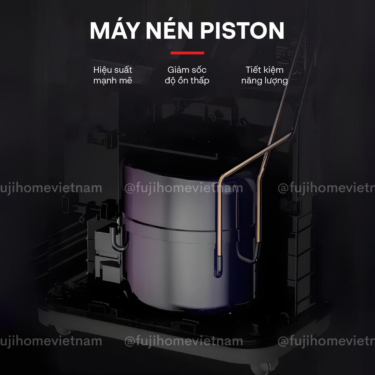 Máy hút ẩm dân dụng Fujihome DH20W