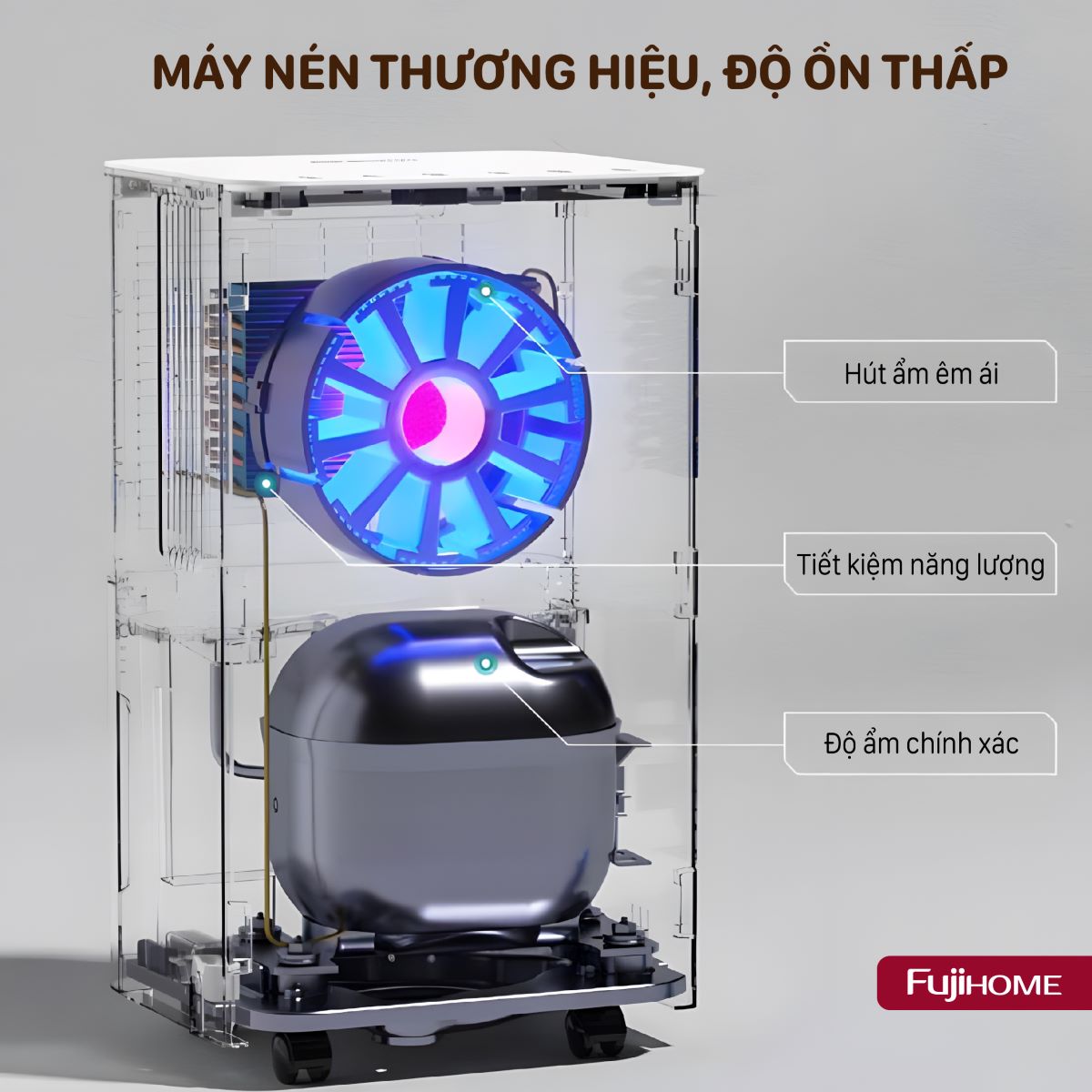 Máy hút ẩm dân dụng Fujihome DH30NW