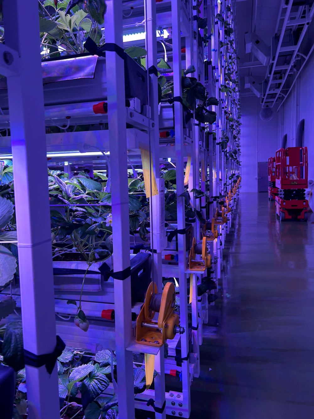 Máy hút ẩm công nghiệp cho môi trường nhiệt độ thấp trồng dầu tây